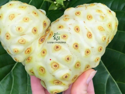 Cách chế biến quả nhàu