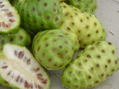 Cách làm nước ép nhàu tươi
