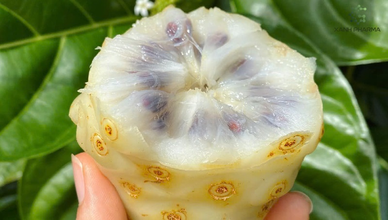 Công dụng làm đẹp của nhàu