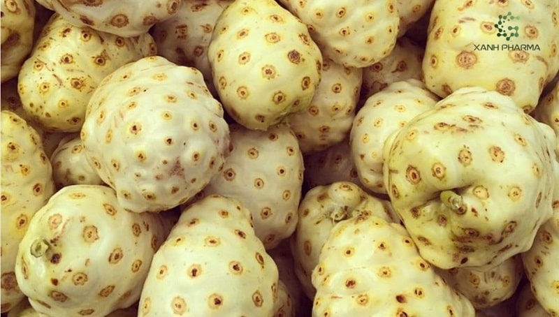 Trái nhàu tốt cho sức khỏe, làm đẹp da và chống lão hóa